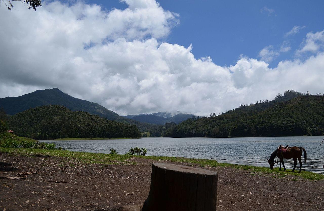 Kundala Lake Munnar