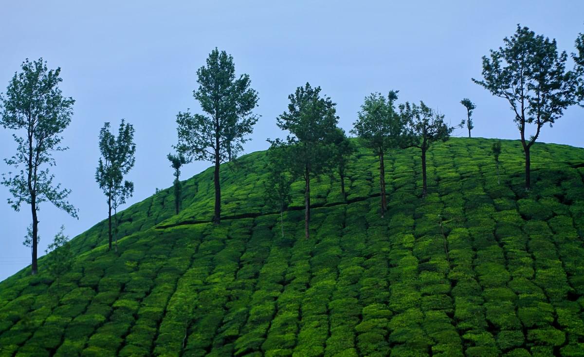 Munnar