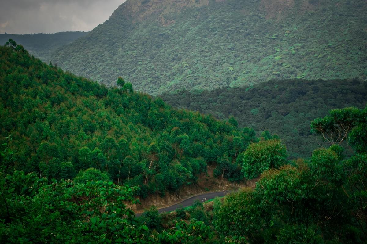 Periyar Wildlife Senctuary