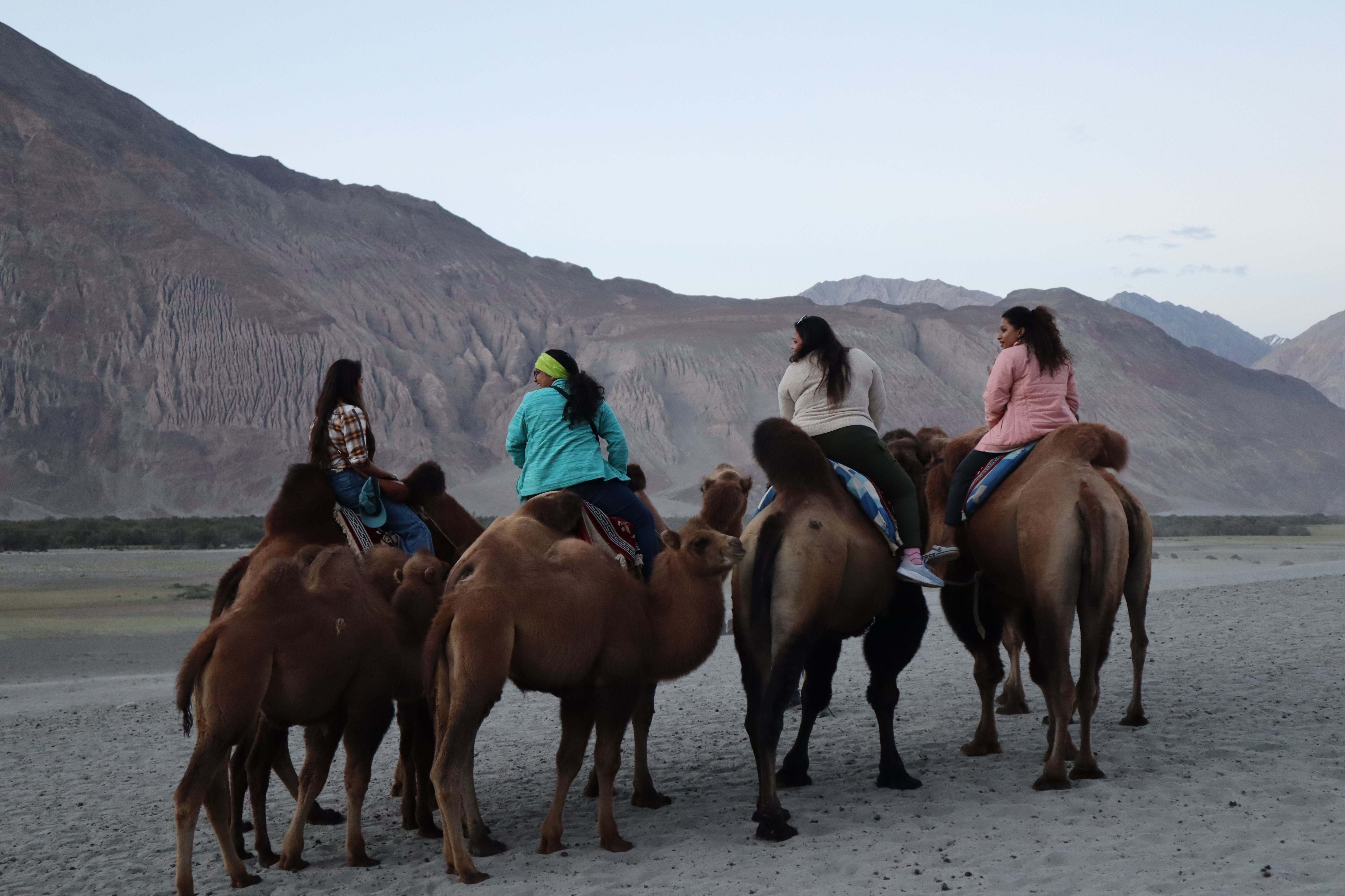 Camel Rides at Hunder Sand Dunes.