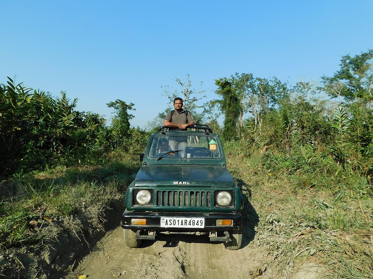 Jeep Safari at Kaziranga National Park