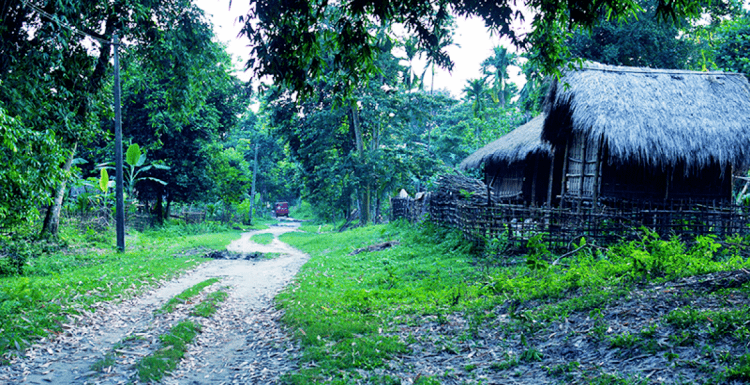 Majuli Island