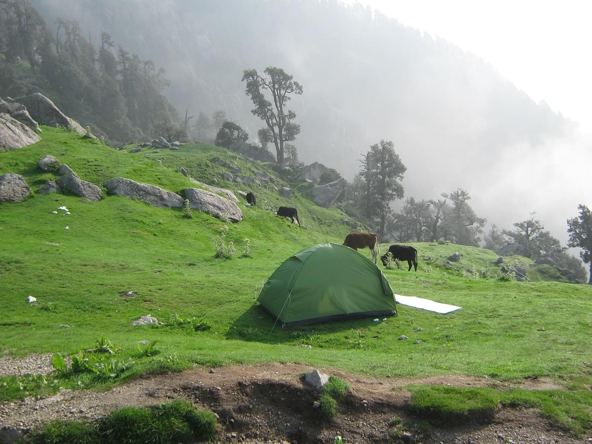 Early morning scene at Triund