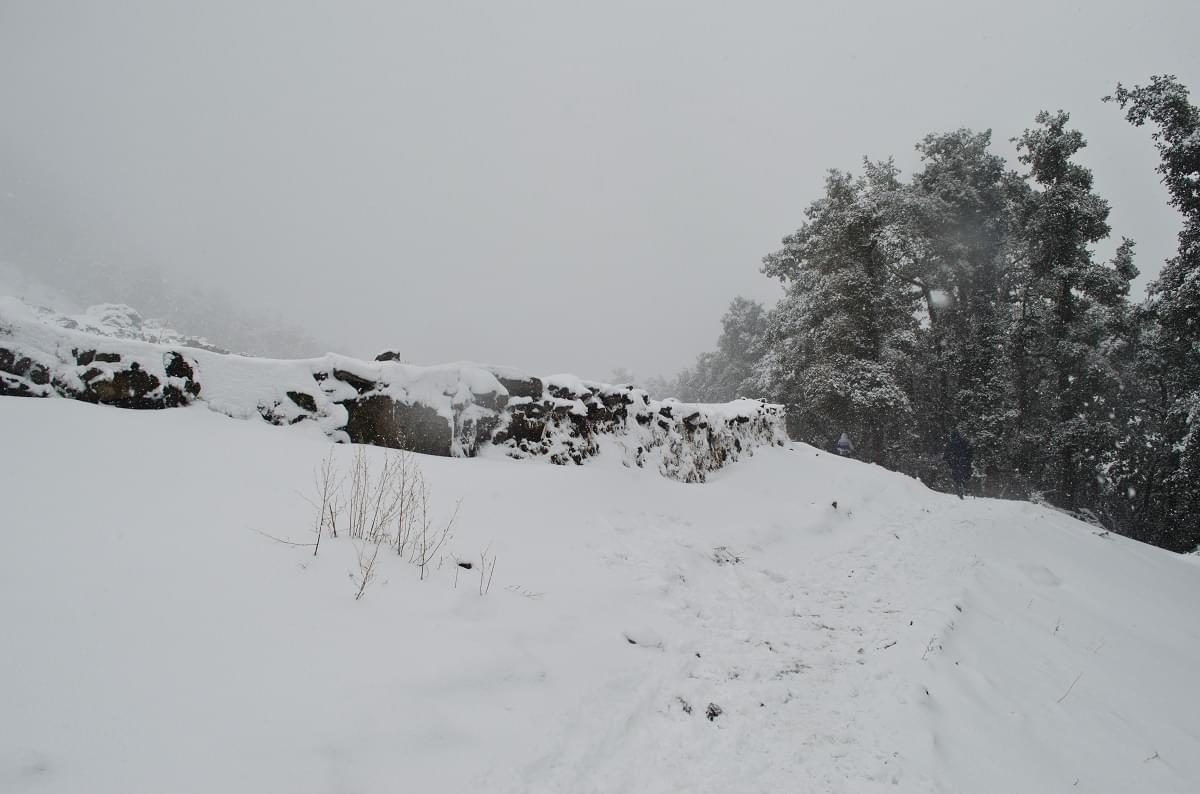 Nagtibba trek after snowfall