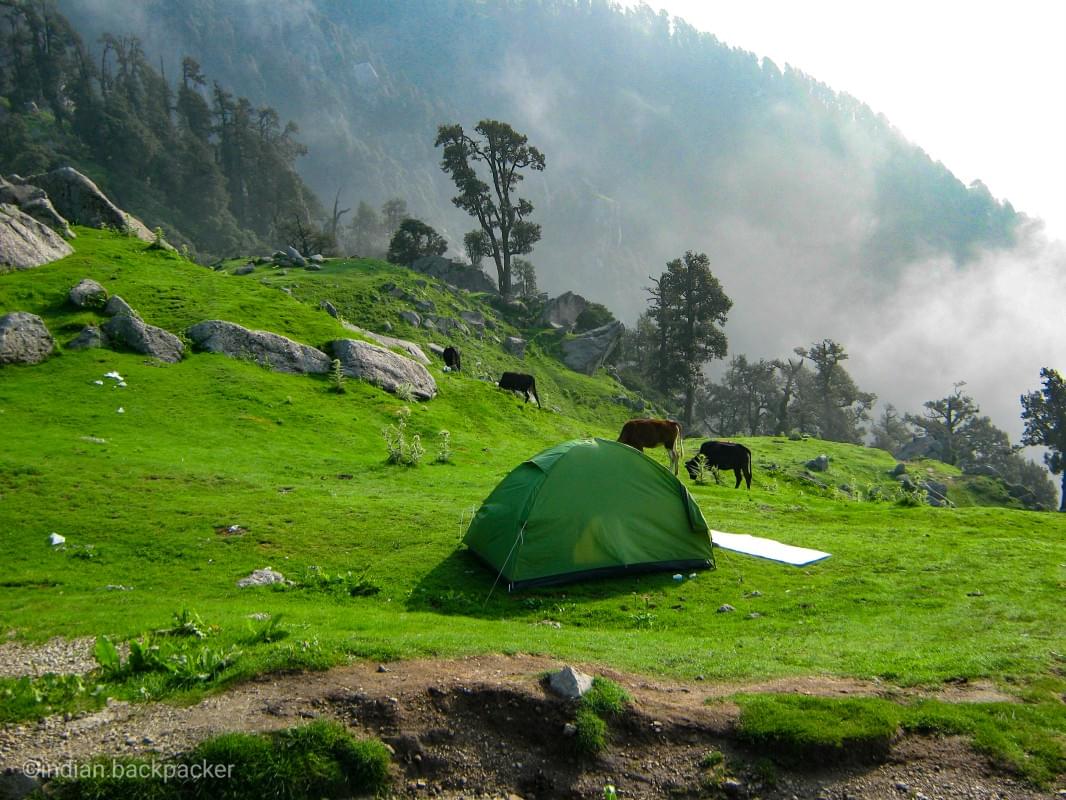 Triund during summers. Captured in July