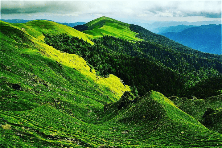 Meadows at ali bedni bugyal