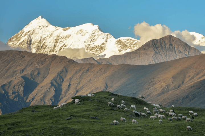 mountains at ali bedni bugyal