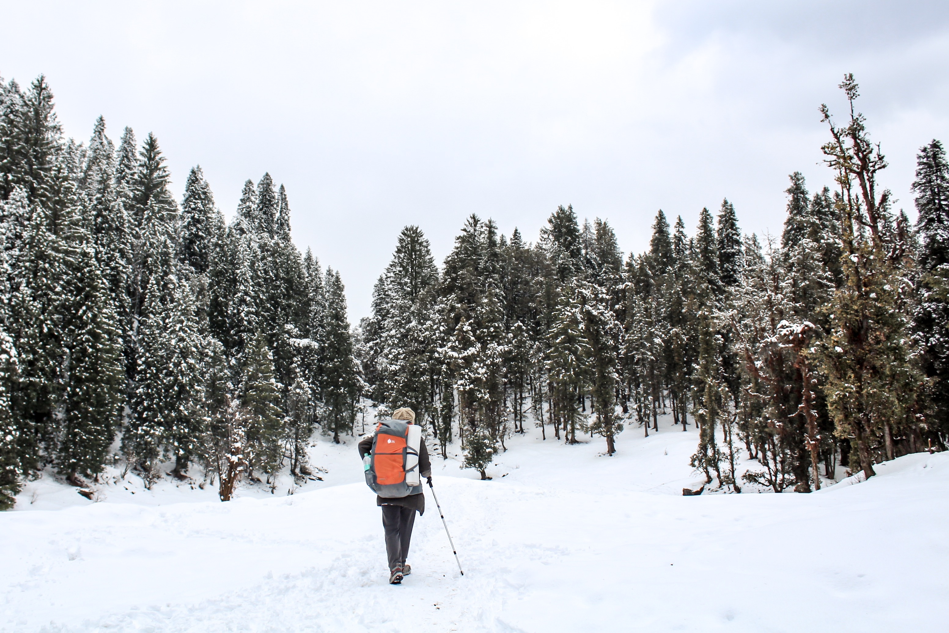 Snow covered paths