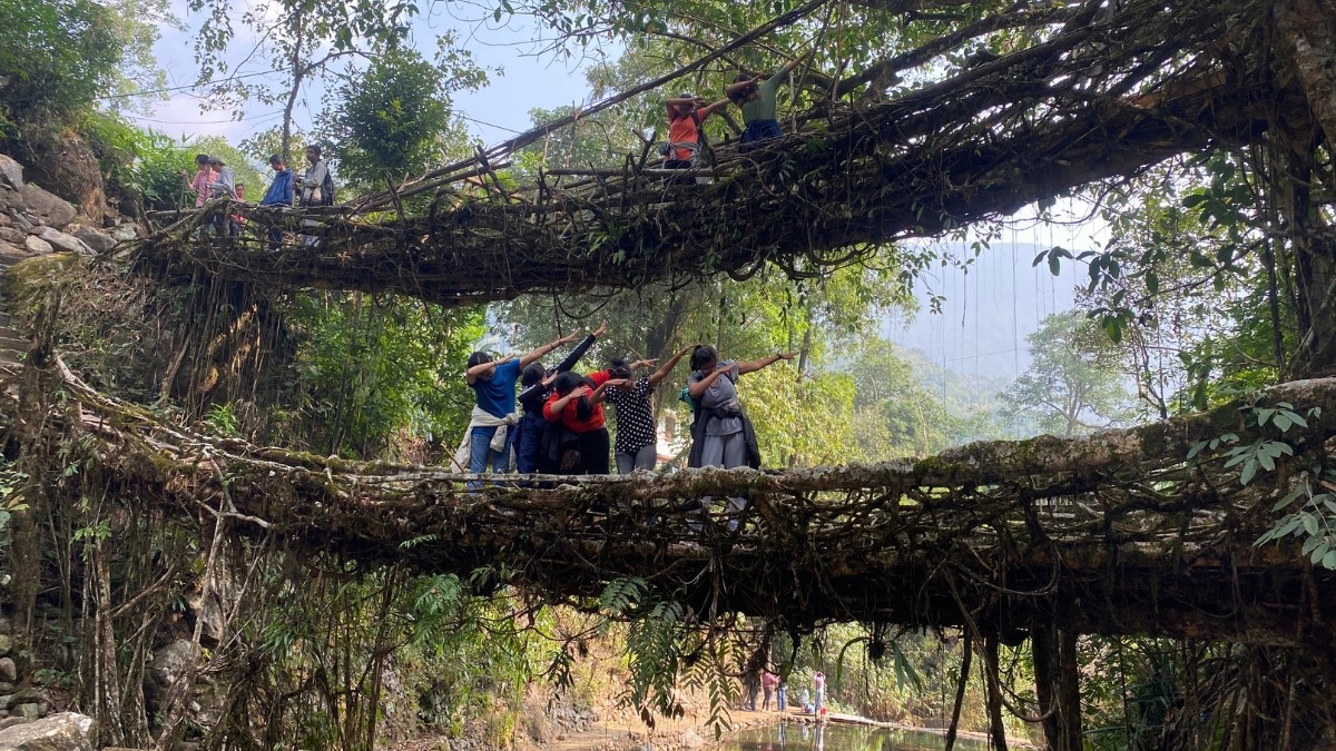 Living Root Bridges