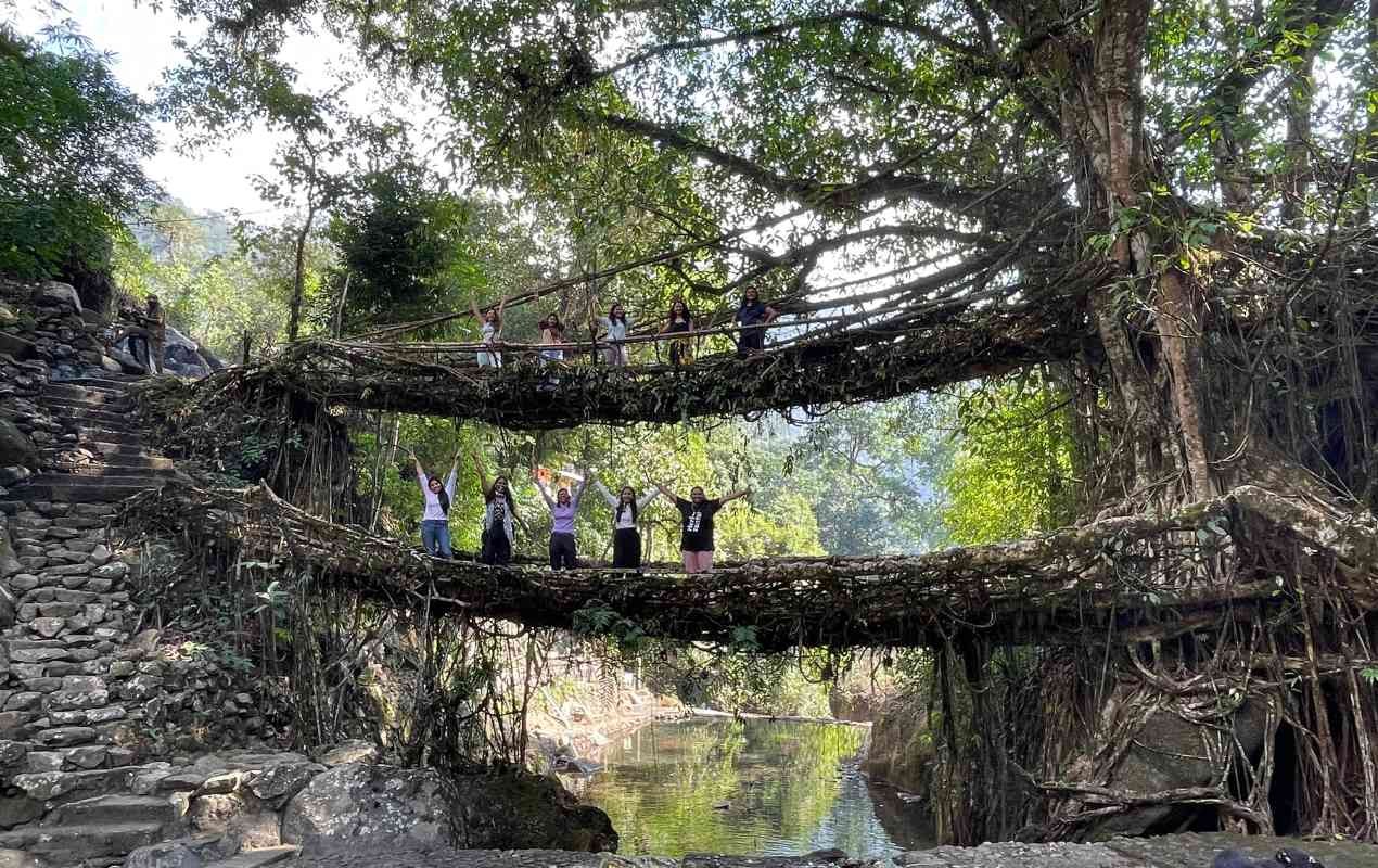 Meghalaya Living Root Bridges