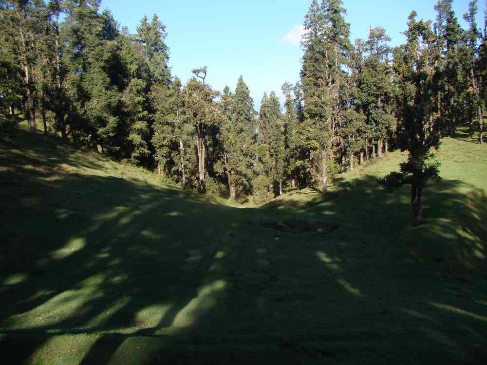 Forests of Chakrata