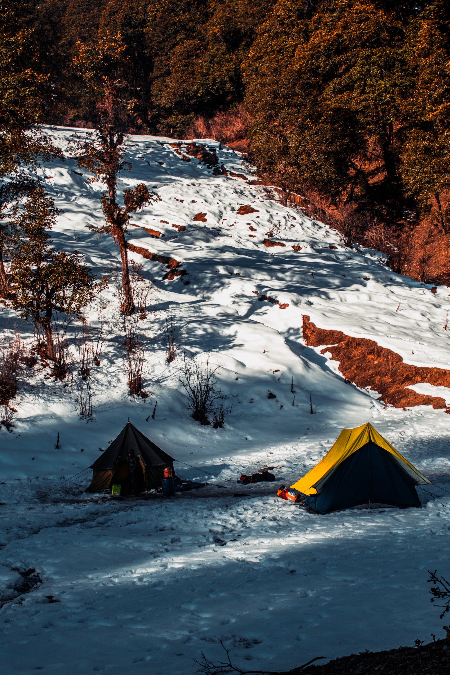 Dayara Bugyal Trek Justwravel