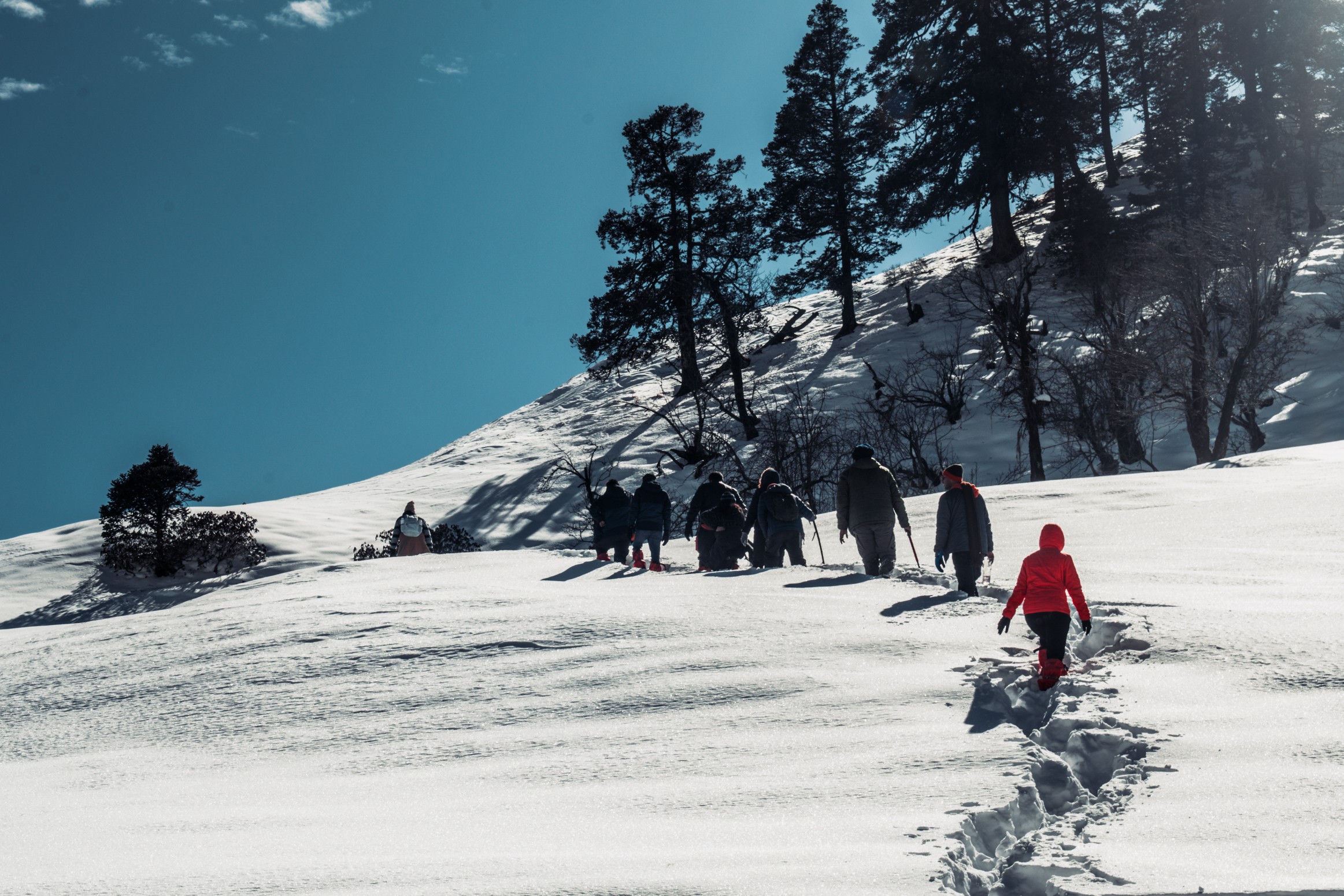 Dayara Bugyal Trek Justwravel