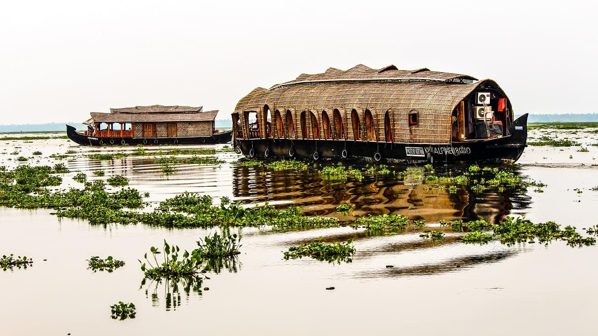 Alleppey