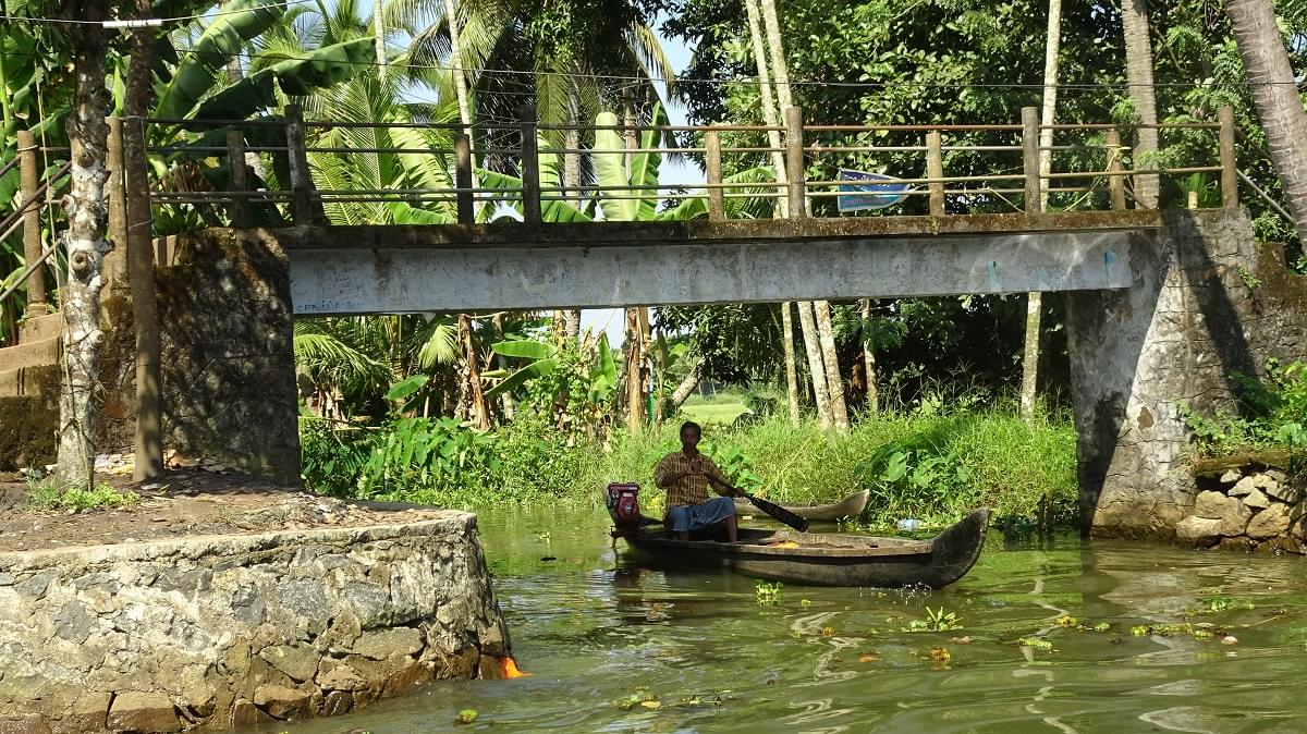 Backwaters 