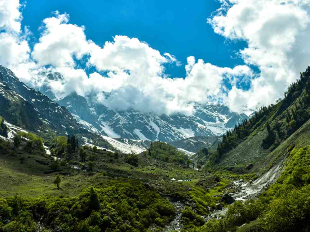 snow filled Dhauladhar ranges