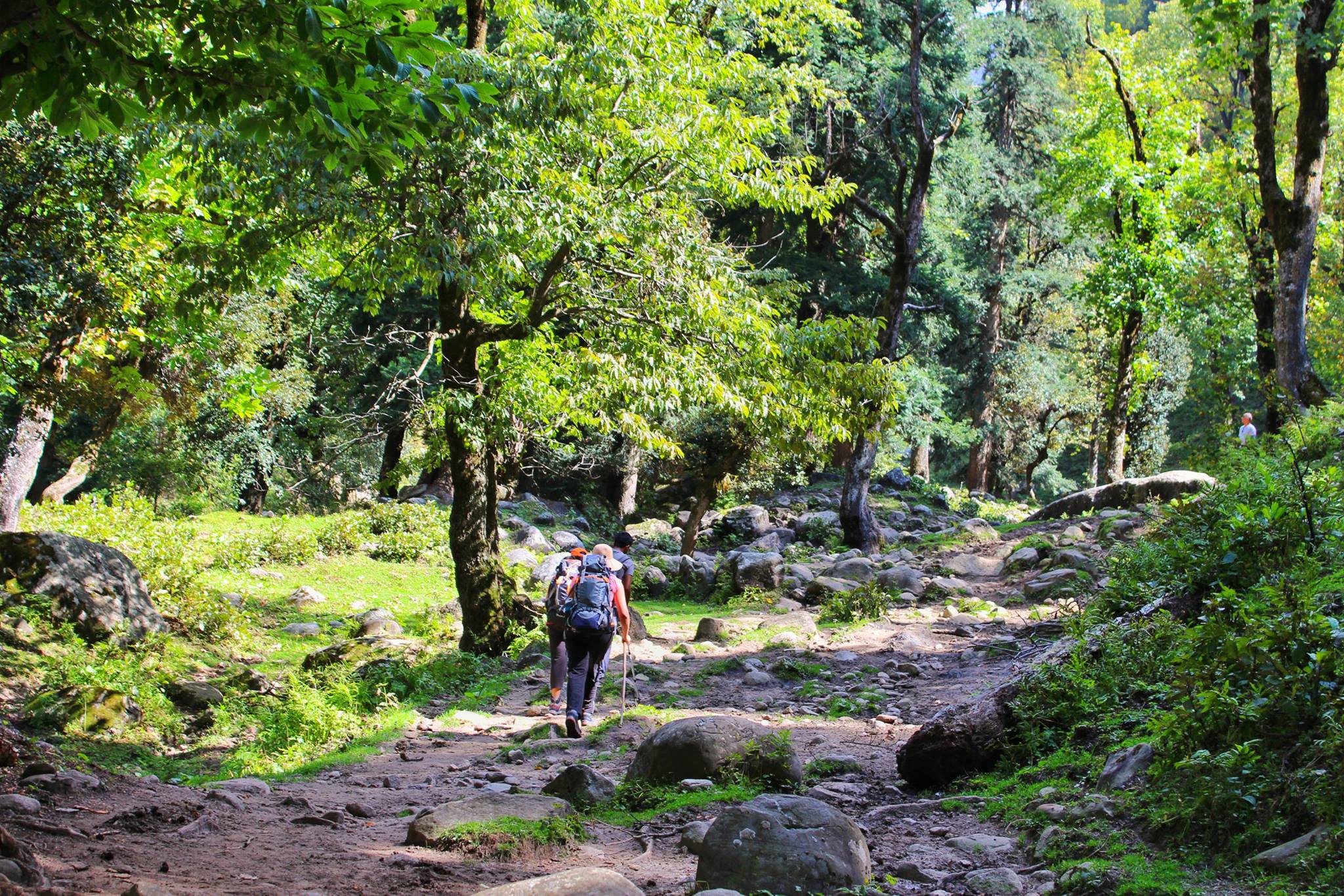 The Green Trails En-route Hampta Pass