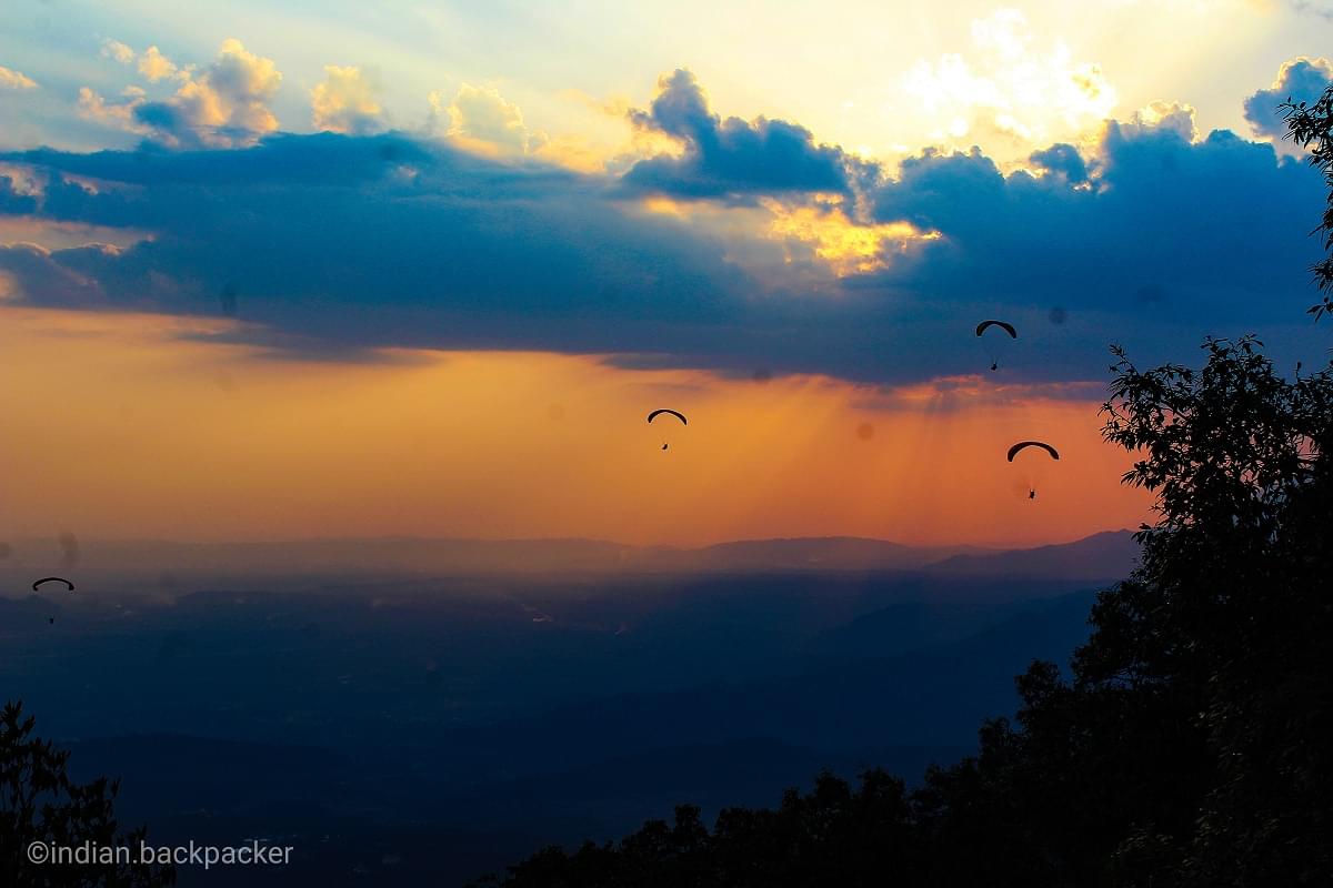 Paragliding at Bir