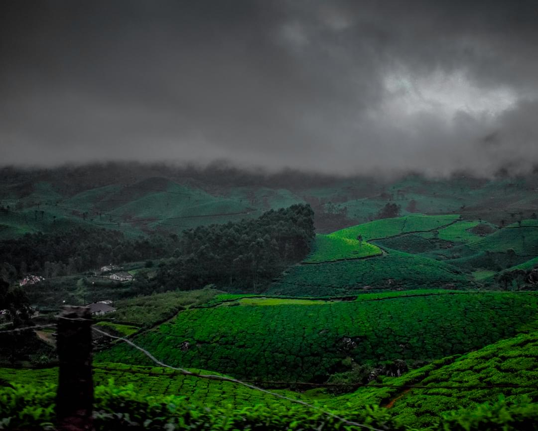 Hills of Munnar