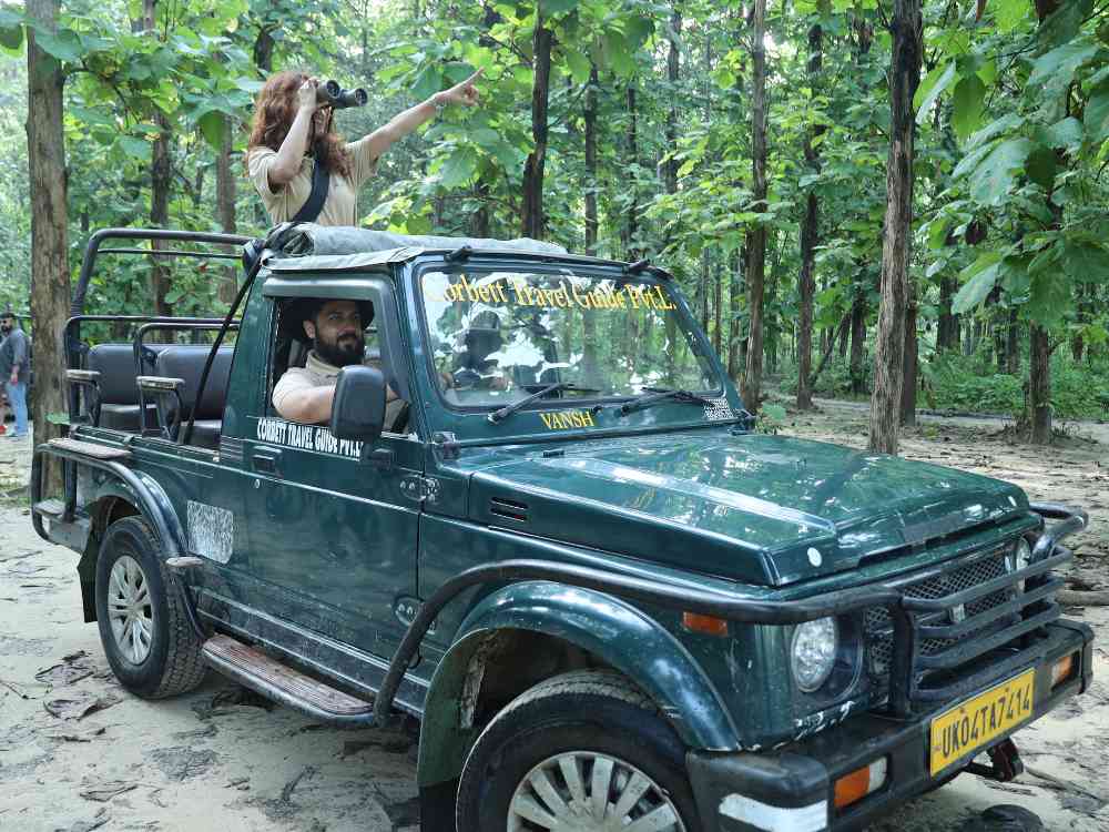 Jungle Safari