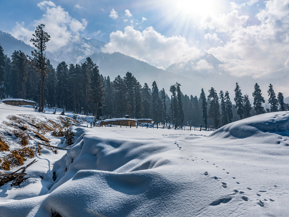 Snow blessed Kashmir