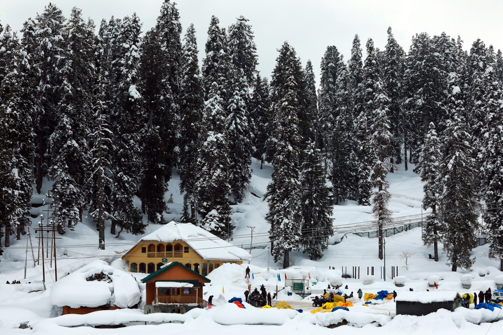 Kashmir Winter