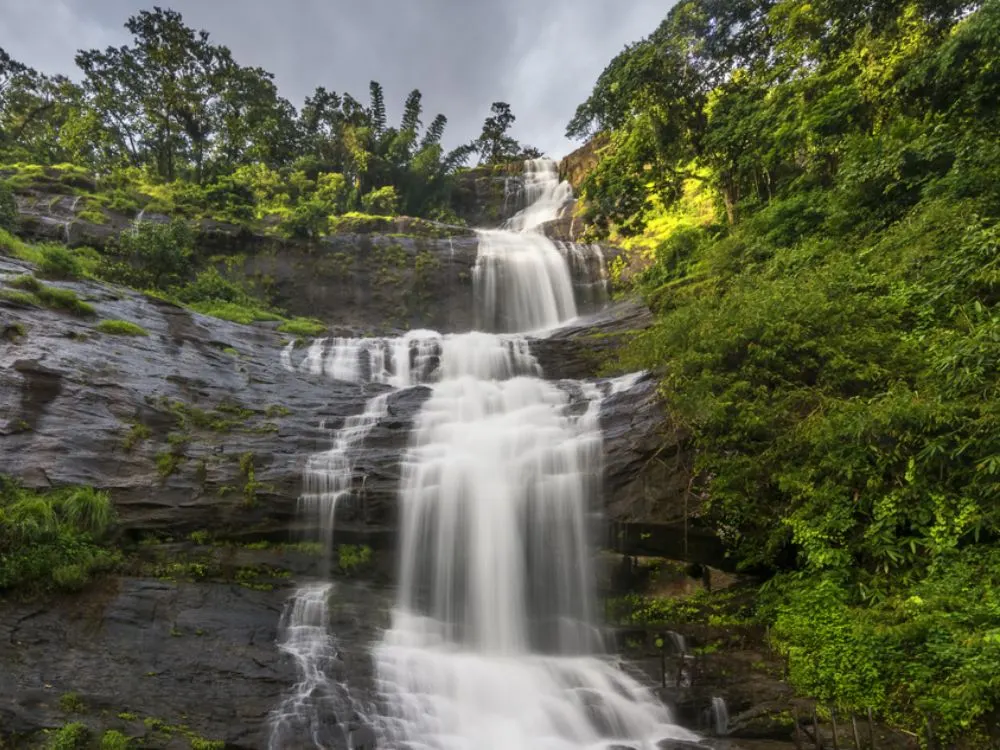 kerala-backwater-tour-package-with-munnar-thekkady-and-Alleppey-JustWravel-1750662550-9-(3).webp