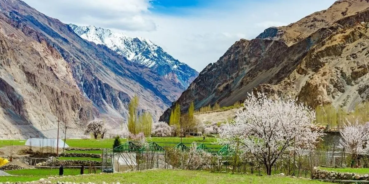 leh-ladakh-tour-from-srinagar-JustWravel-1738584246-package-gallery-images-(12).webp