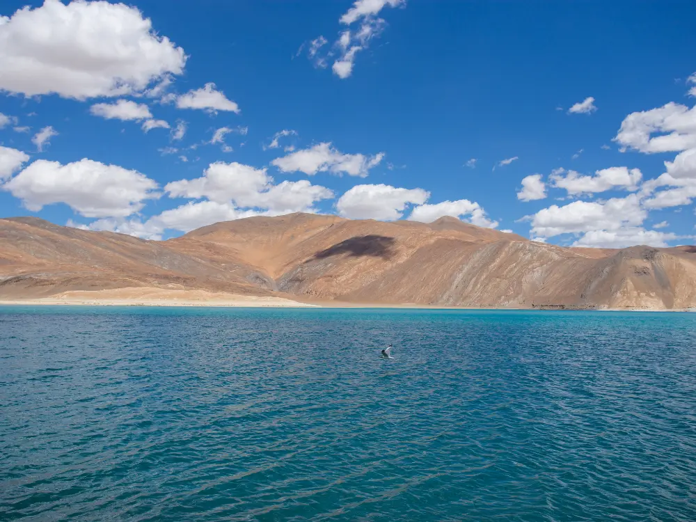 Pangong Tso | Customized trip to Ladakh