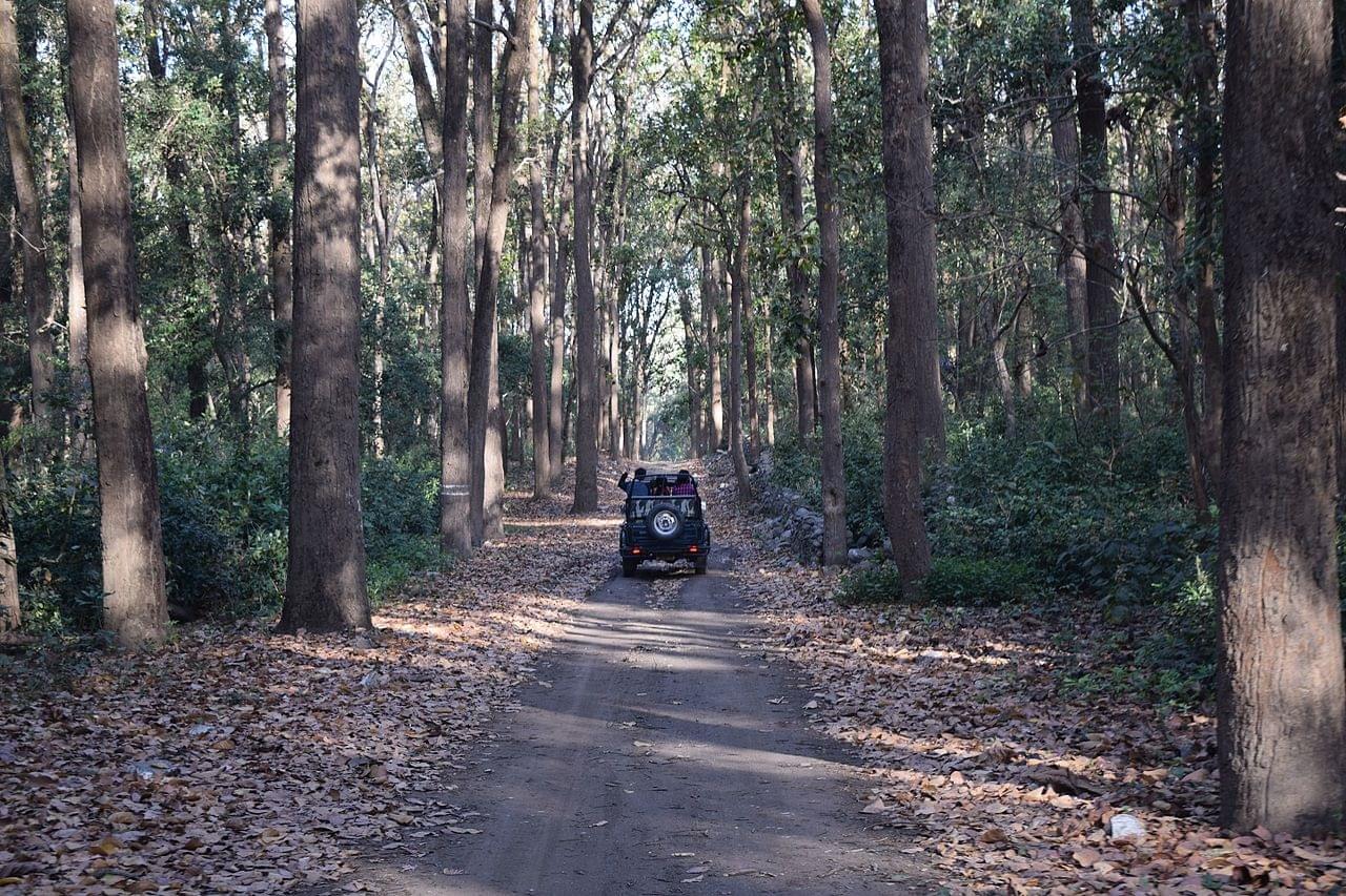 Jeep Safari at Corbett National Park