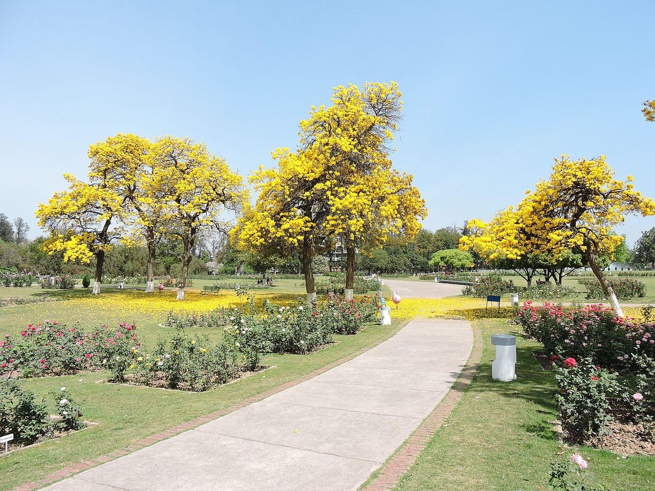 Rose Garden Chandigarh