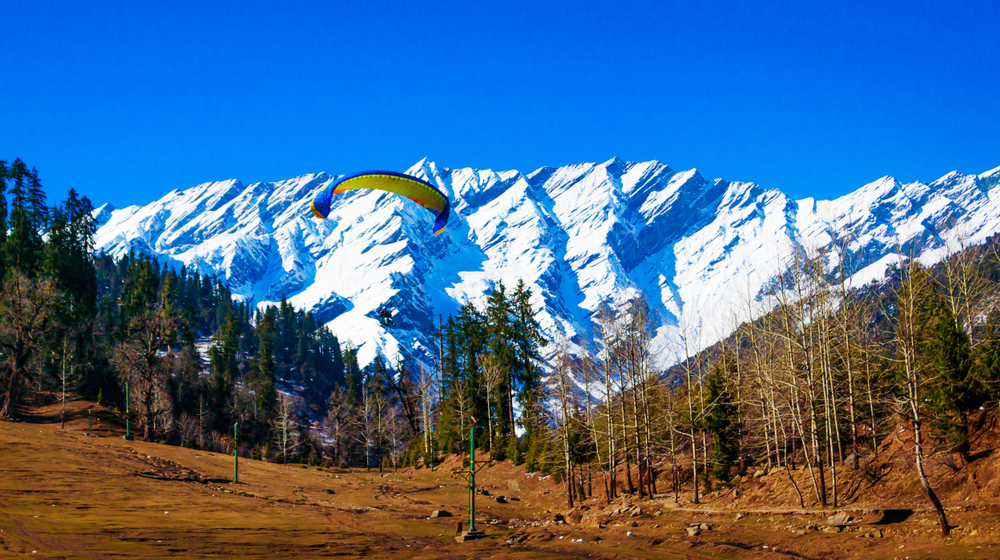 Paragliding in Manali