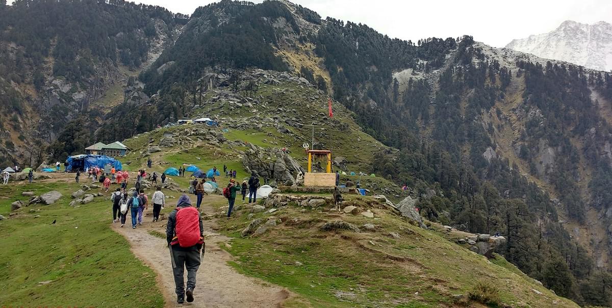 Triund Trek