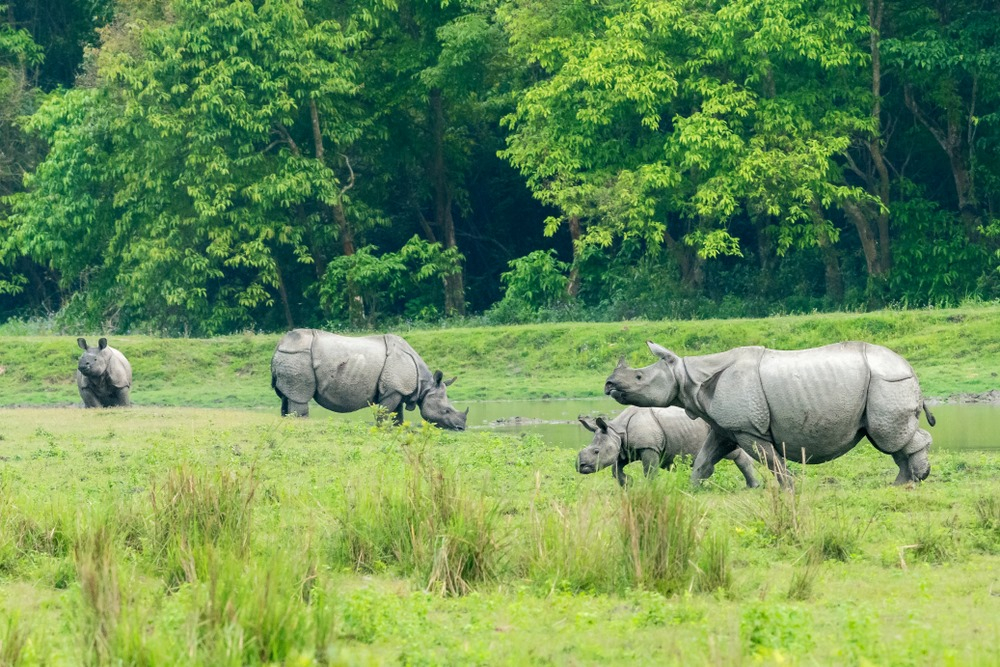 Travelers posing on their Meghalaya trip