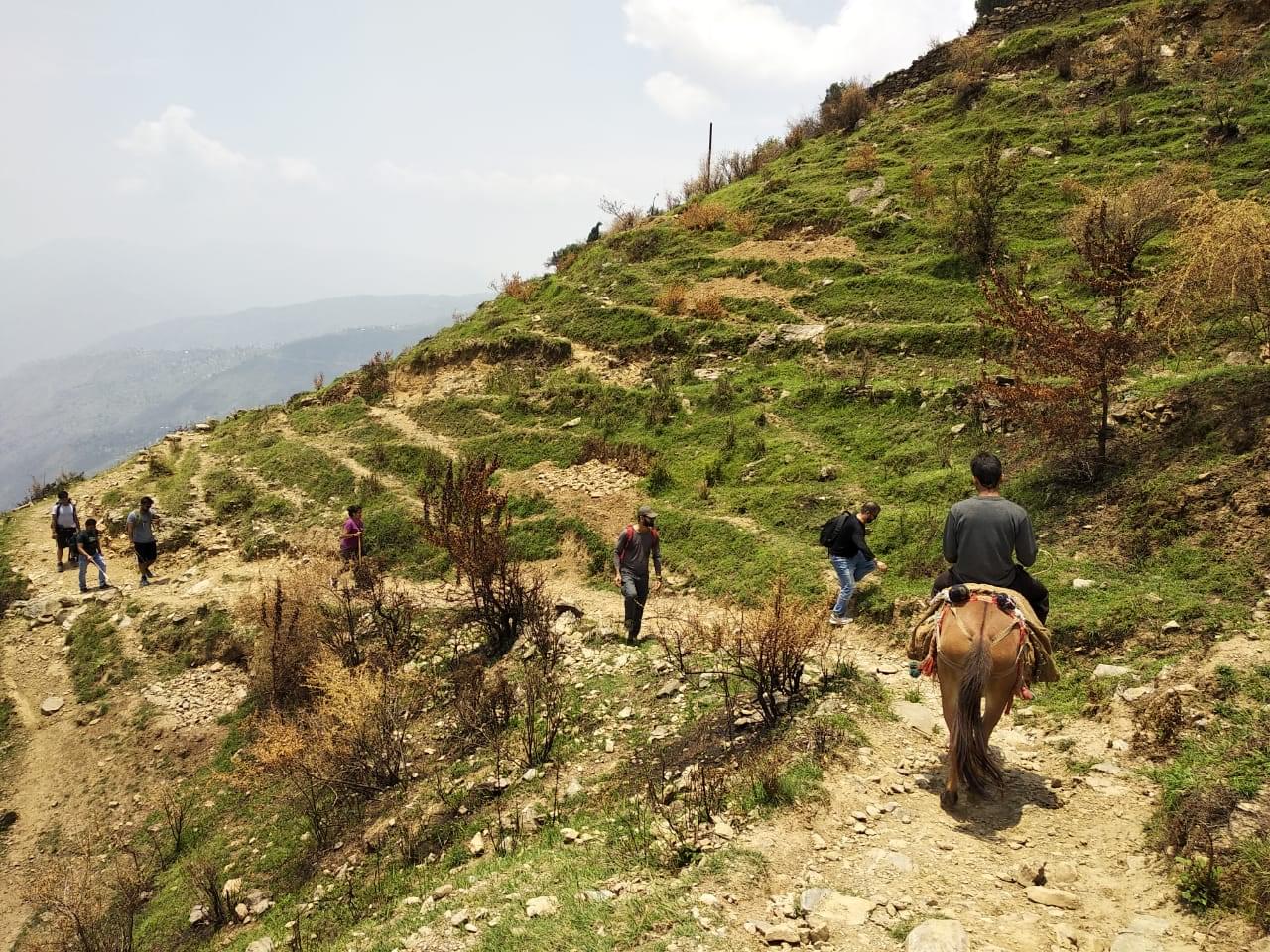 Nagtibba Trail in summers