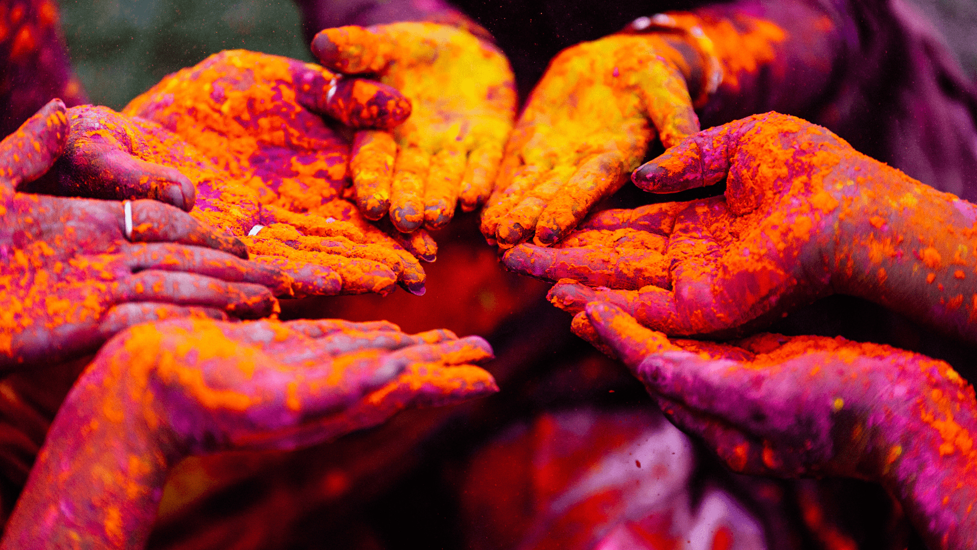 pushkar-holi-celebration-delhi-ncr-pushkar-ajmer-JustWravel-1675939266.png