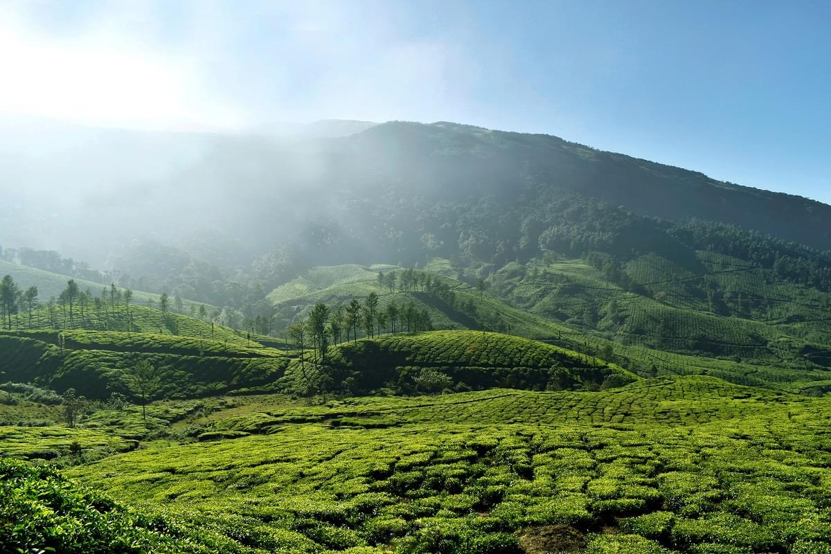 Munnar