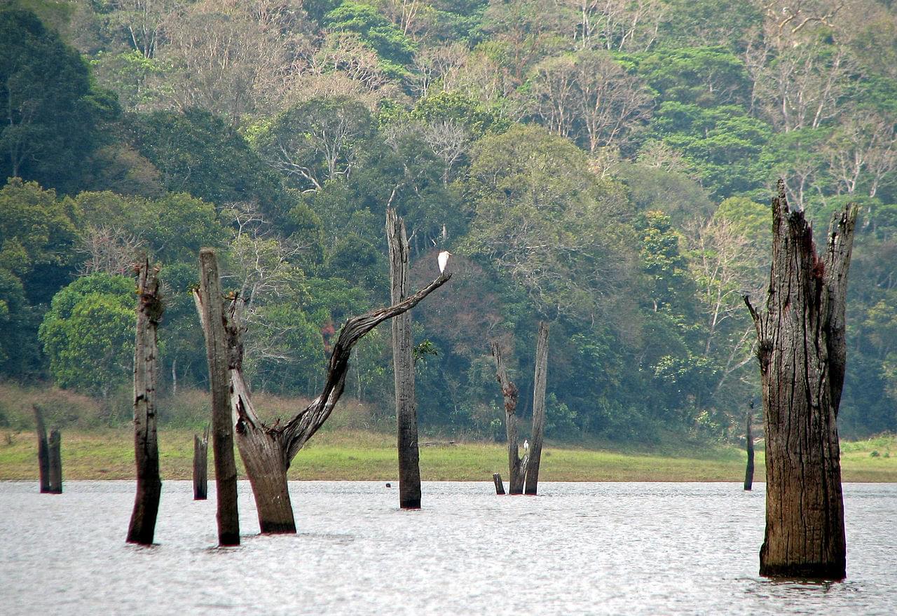 Periyar National Park Thekkady