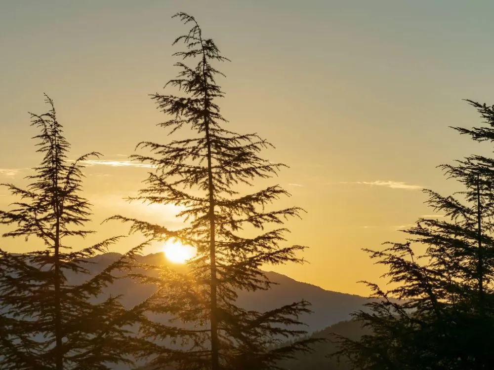 Sunset in Chail