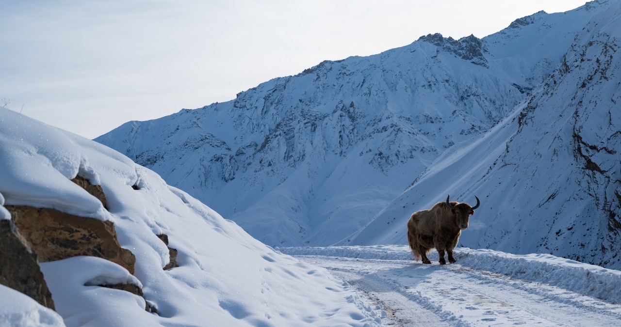 4x4 Winter Spiti expedition