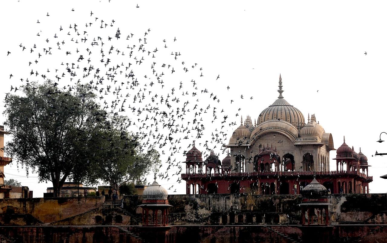 Moosi Maharani Ki Chhatri Alwar