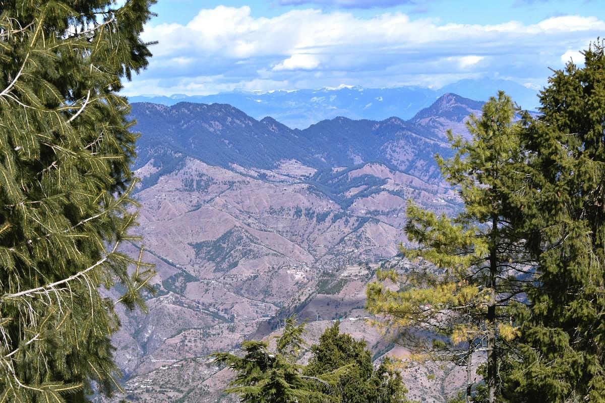 Shimla Water Catchmentanct Wildlife Sanctuary