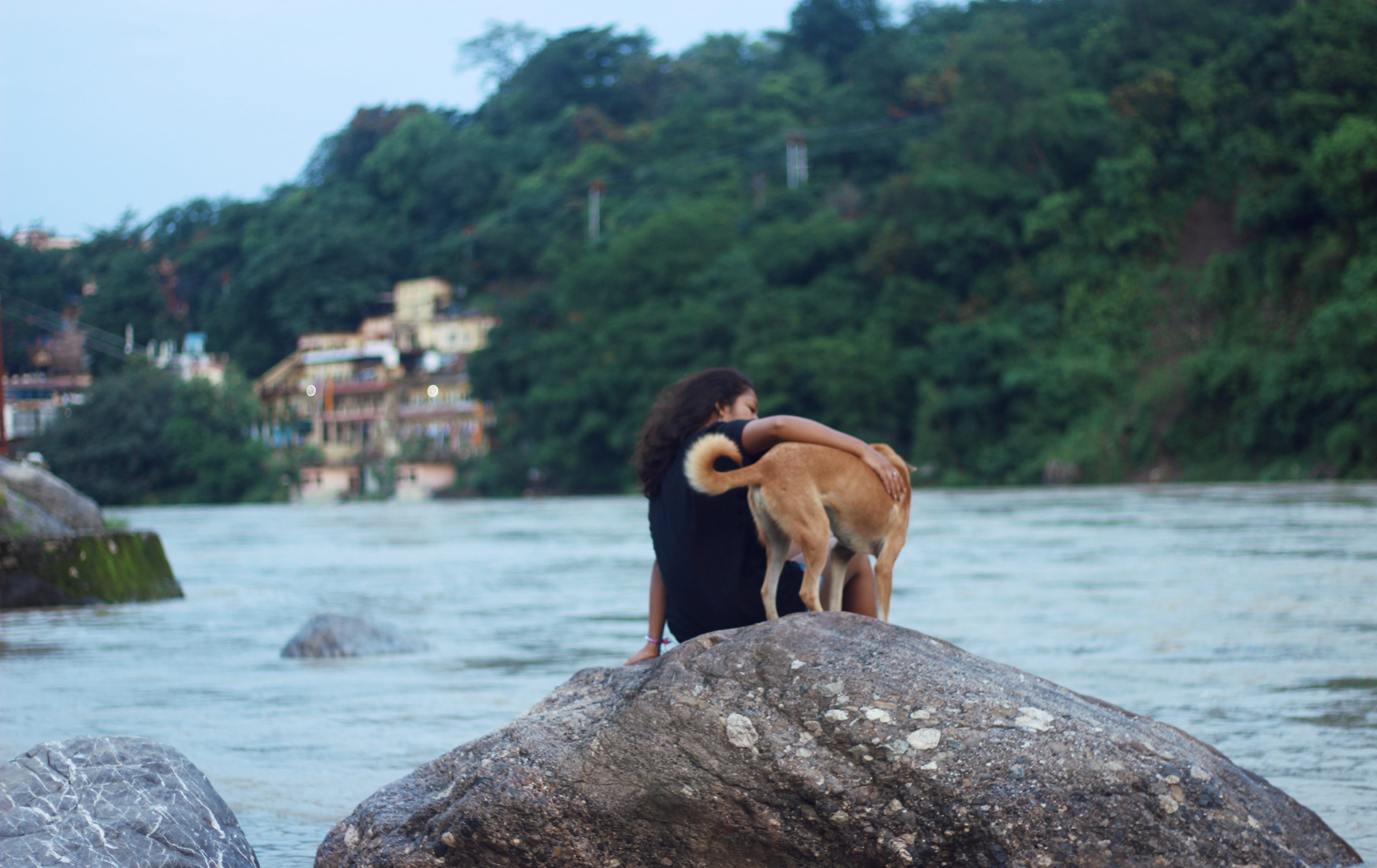 Dawns in Rishikesh