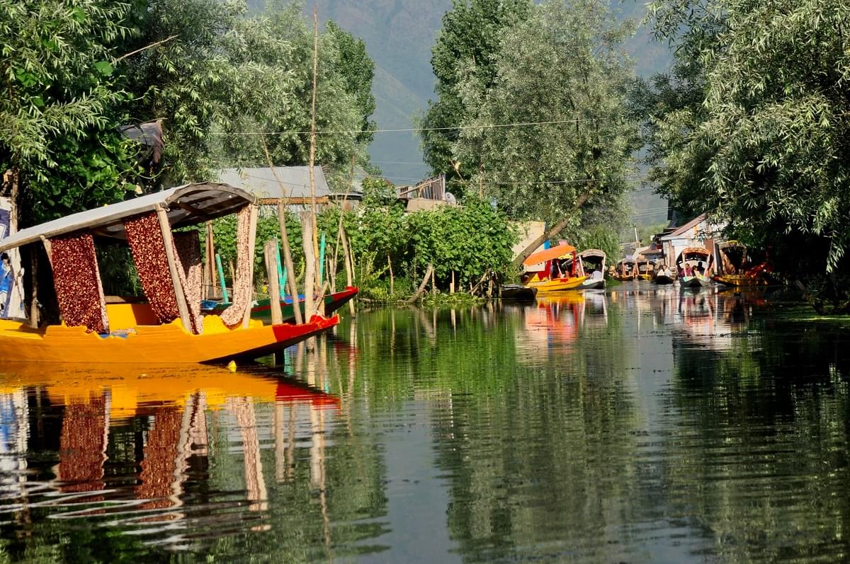 Srinagar